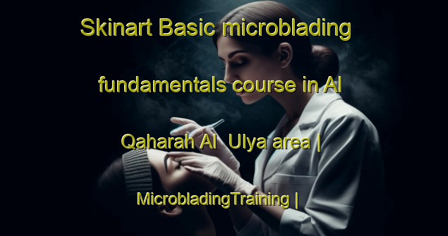 Skinart Basic microblading fundamentals course in Al Qaharah Al  Ulya area | MicrobladingTraining | MicrobladingClasses | SkinartTraining-Yemen